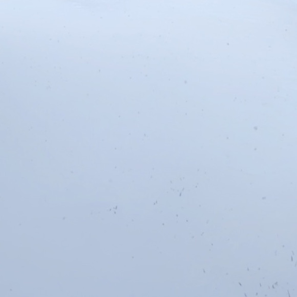 Meet your Posher, Dunia